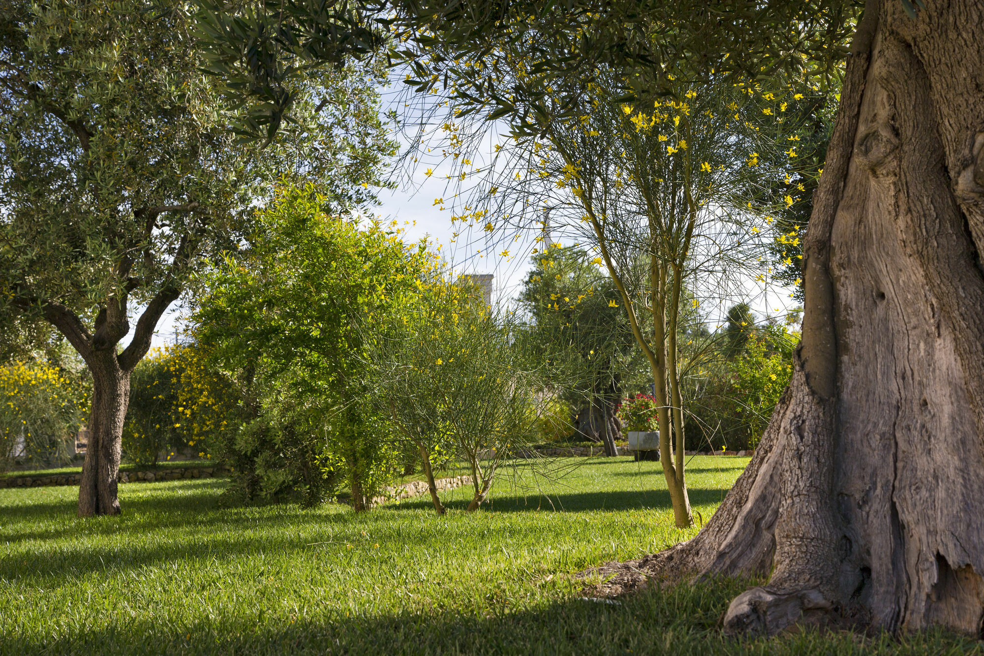 Relais Masseria Caselli Carovigno Buitenkant foto